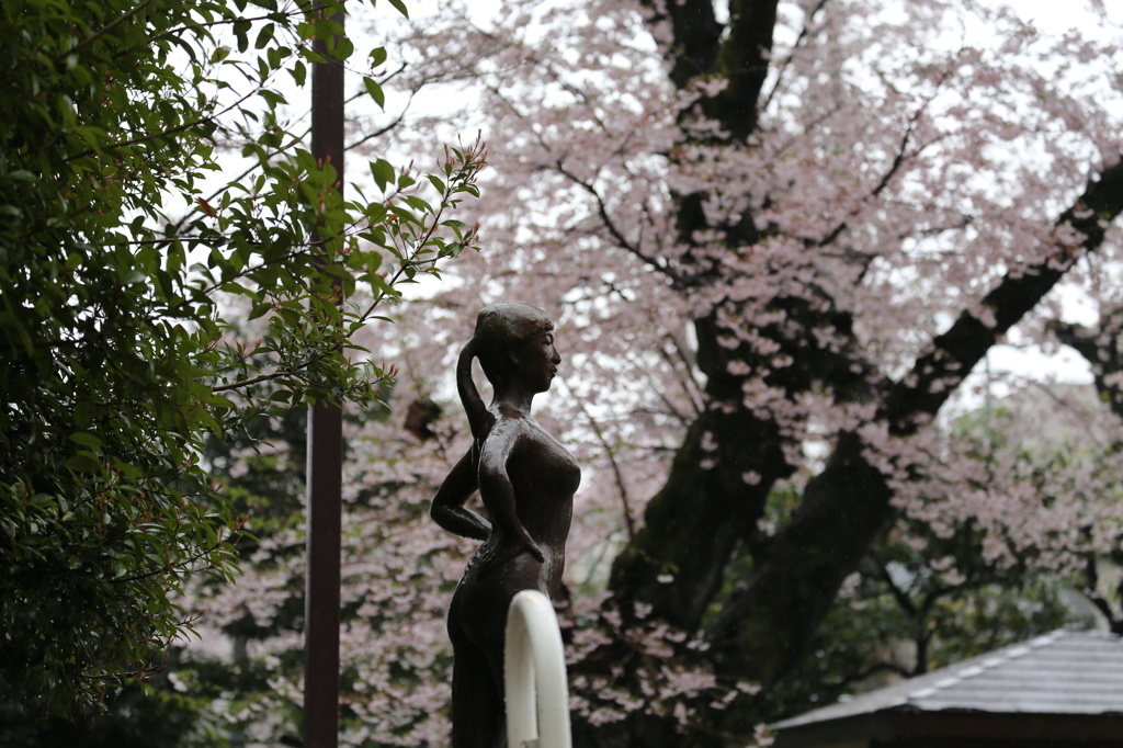 雨