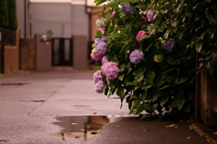 映る景色。