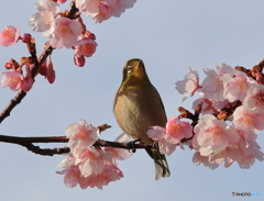 太陽が眩しいぜ！