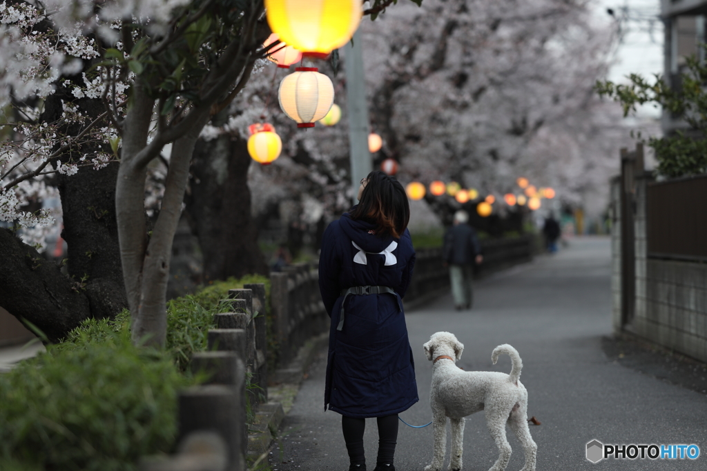 見上げればそこに。。