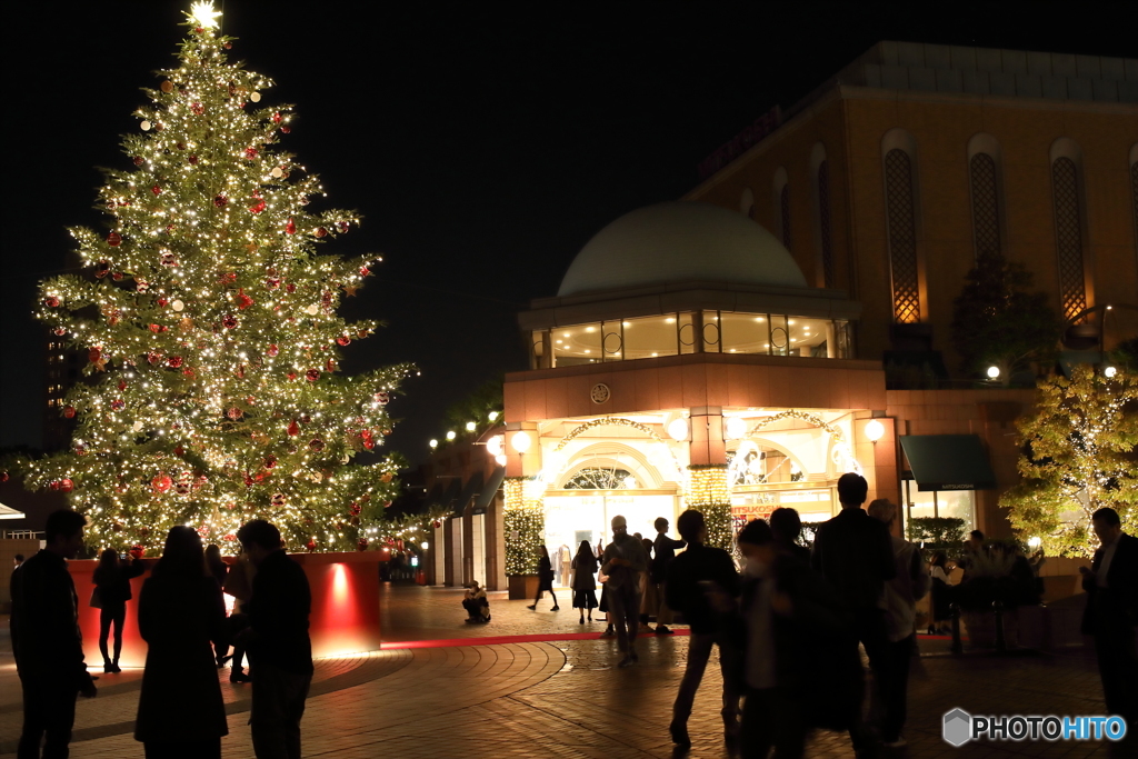 クリマス当日には。。