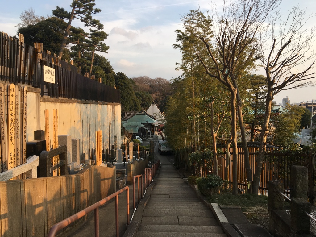 行き着く先に...。