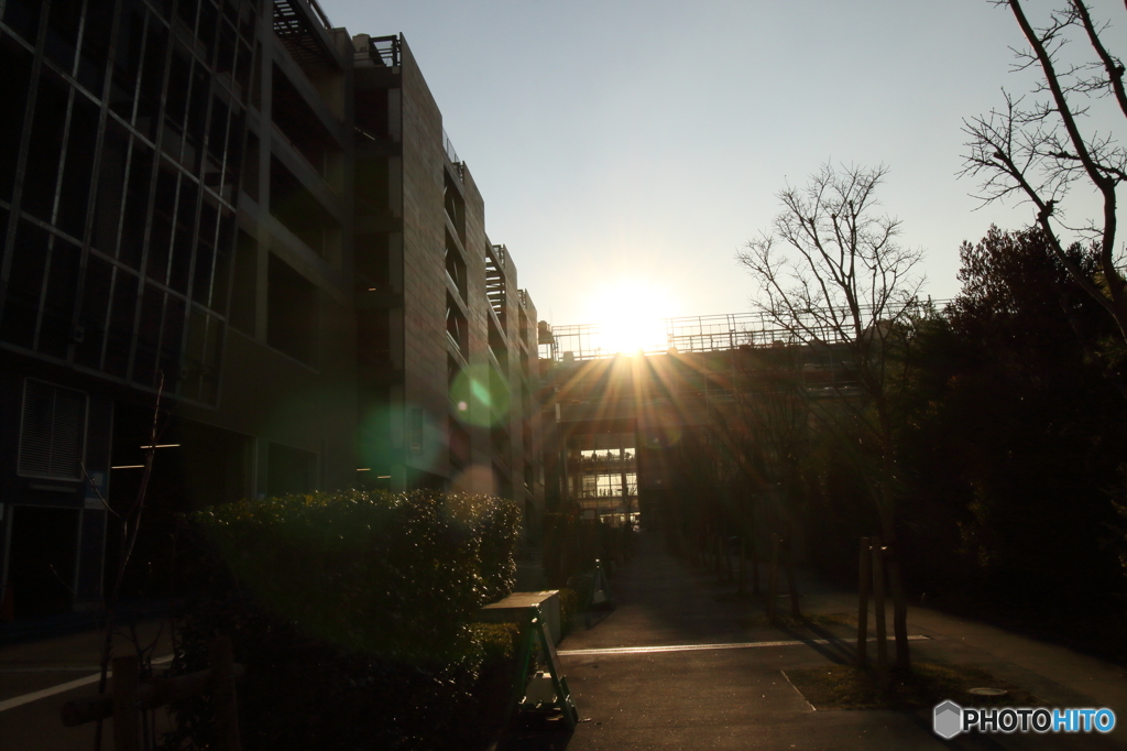 懐かしい風景。