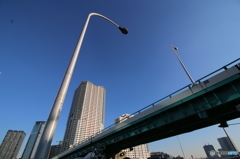見上げれば。。