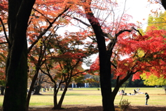 でっかいぞー。