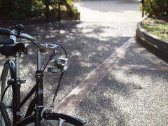 公園の自転車