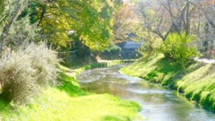 小春日和