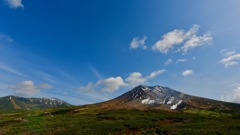 山