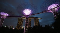 Garden By The Way1