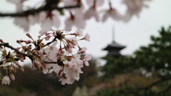 三溪園1