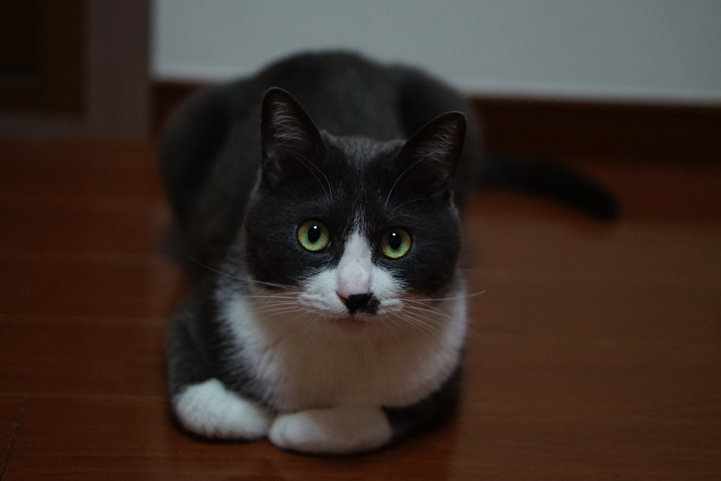 むっくむく