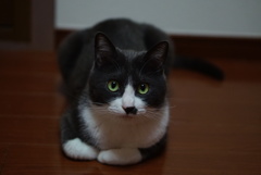 むっくむく