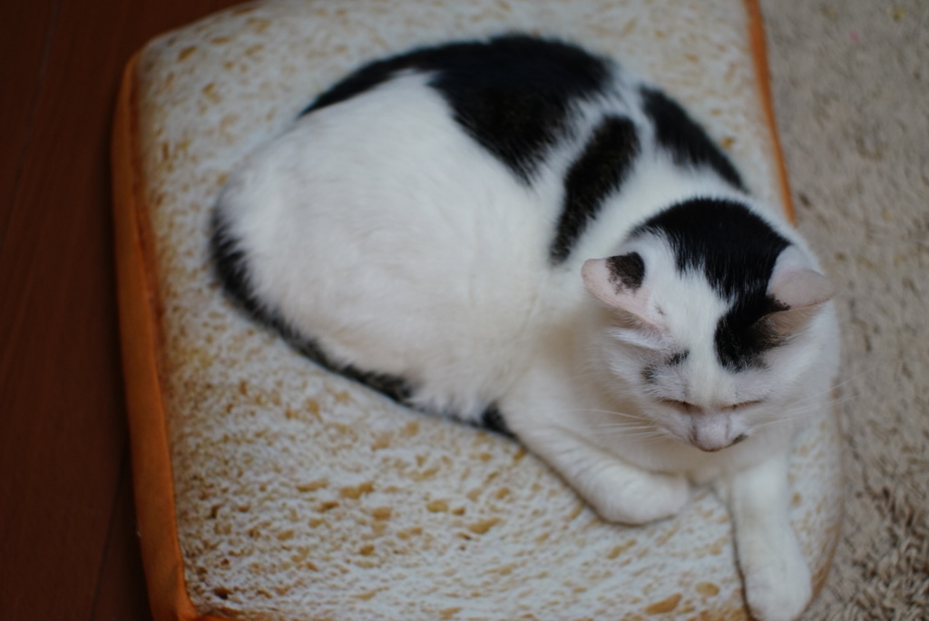 トースト白黒あんこ乗せ