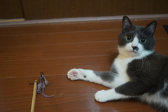 はやくうごかしてよ