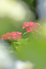隠れるように
