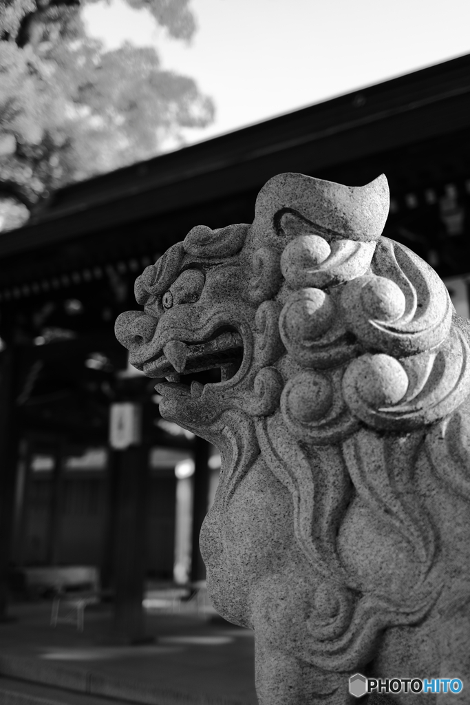 スナップ（神社）