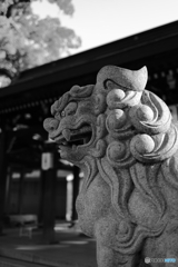 スナップ（神社）