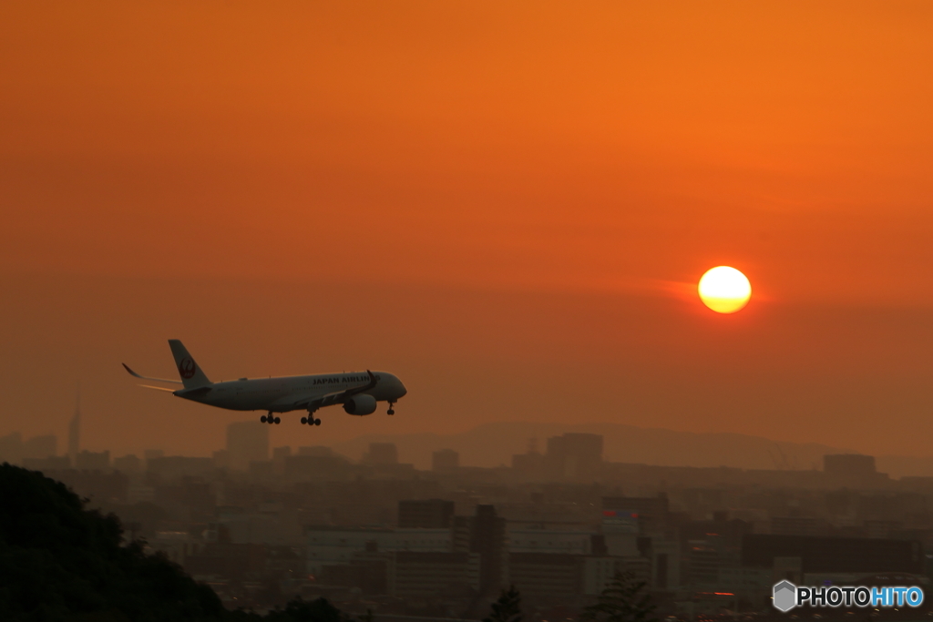 夕陽を浴びて