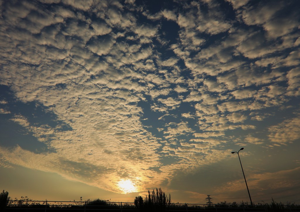 空を覆う