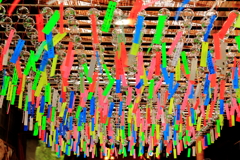 カエル寺①