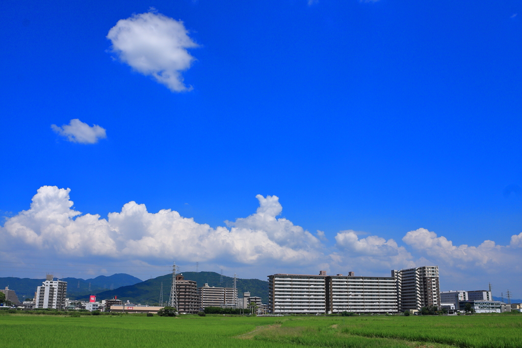 真夏のかたち