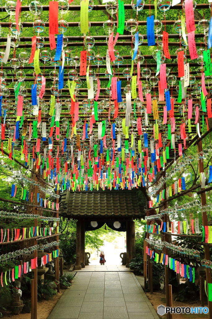 沢山の願い