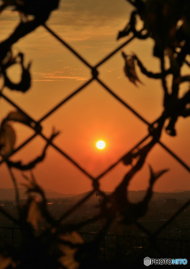 向こうの夕陽