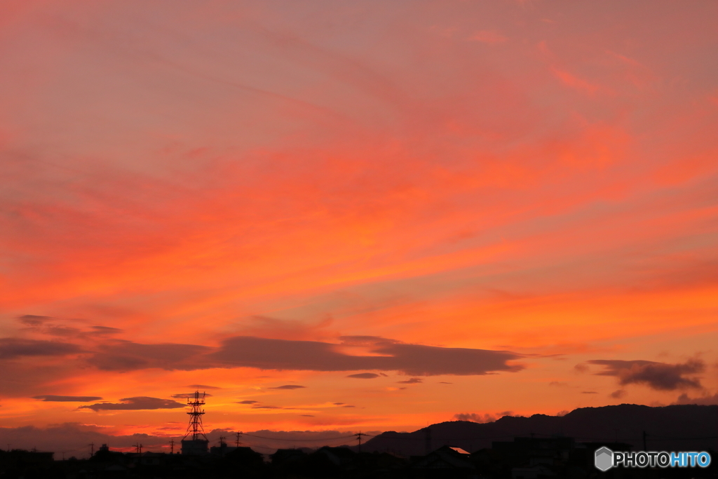 朝陽を待つ