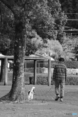 にちじょう