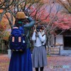 撮るよ