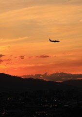 茜空を飛ぶ