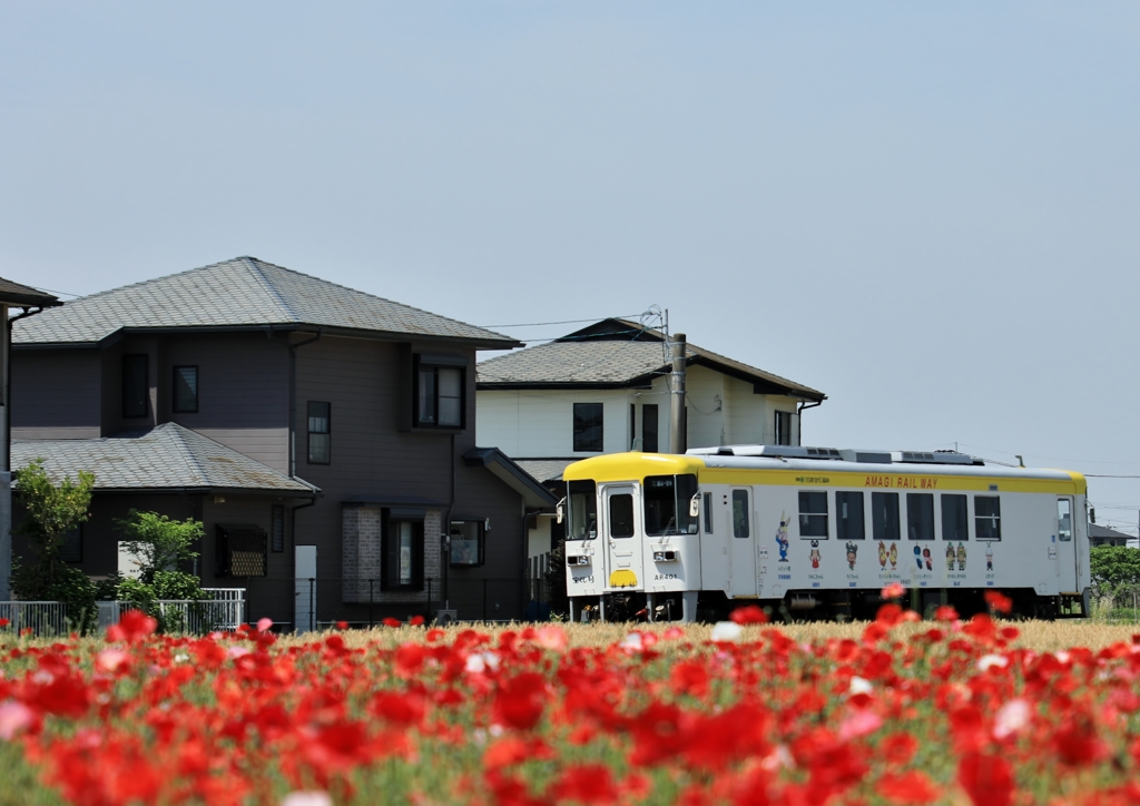 初夏を走る