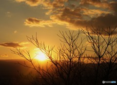 冬の夕暮れ