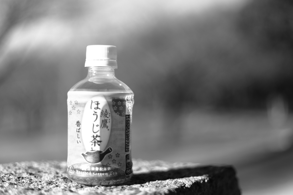 公園スナップ①