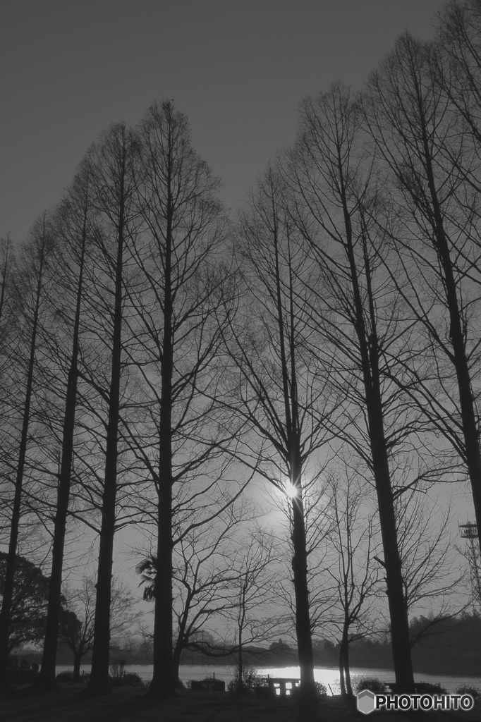 夕暮れ空