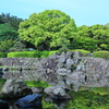 みどり