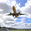 飛行機①