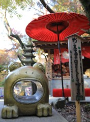 くぐれます