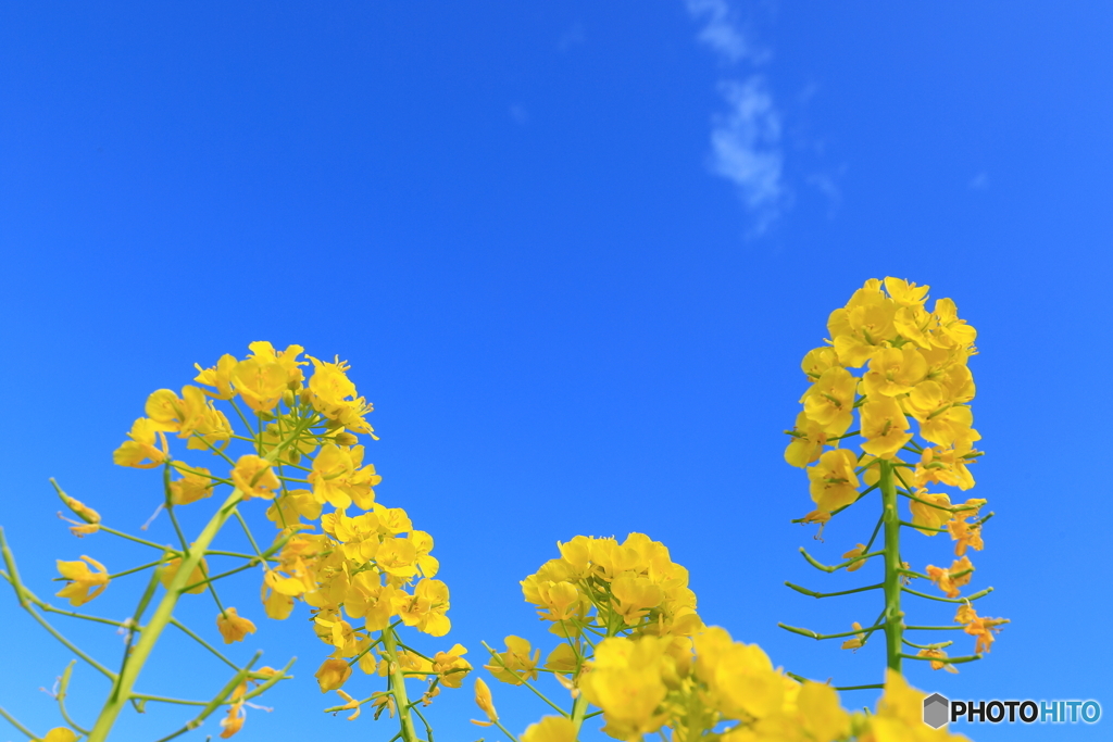 春空