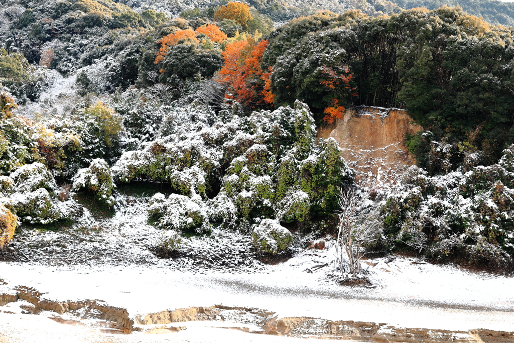 紅葉残り雪景色
