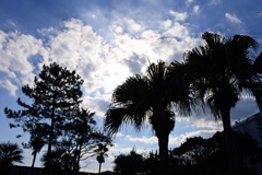 under the sky