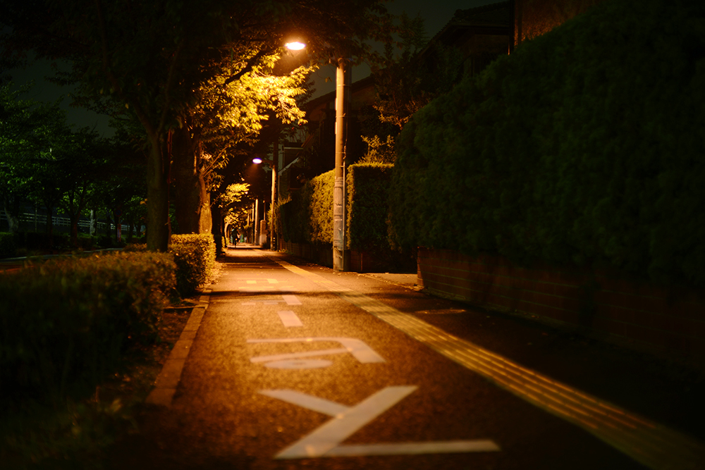 夜の道
