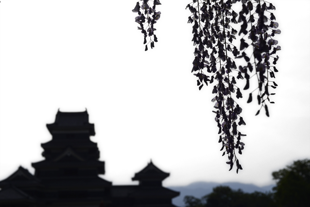 初夏の夢