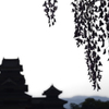 初夏の夢