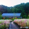 花畑と日本家屋