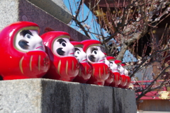 だるま　目入れ　＠岩津天満宮