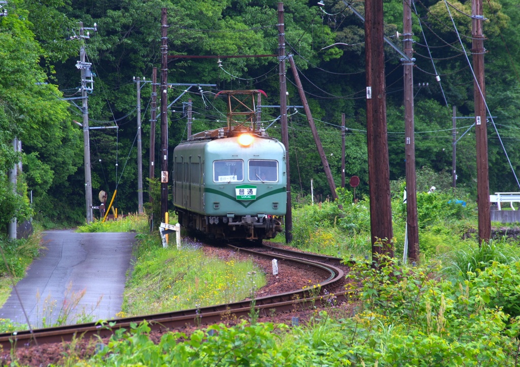 南海風　S字ｶｰﾌﾞ　＠大井川鉄道　