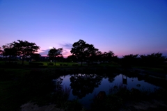 夏の夕暮れ＃1　＠柿田公園