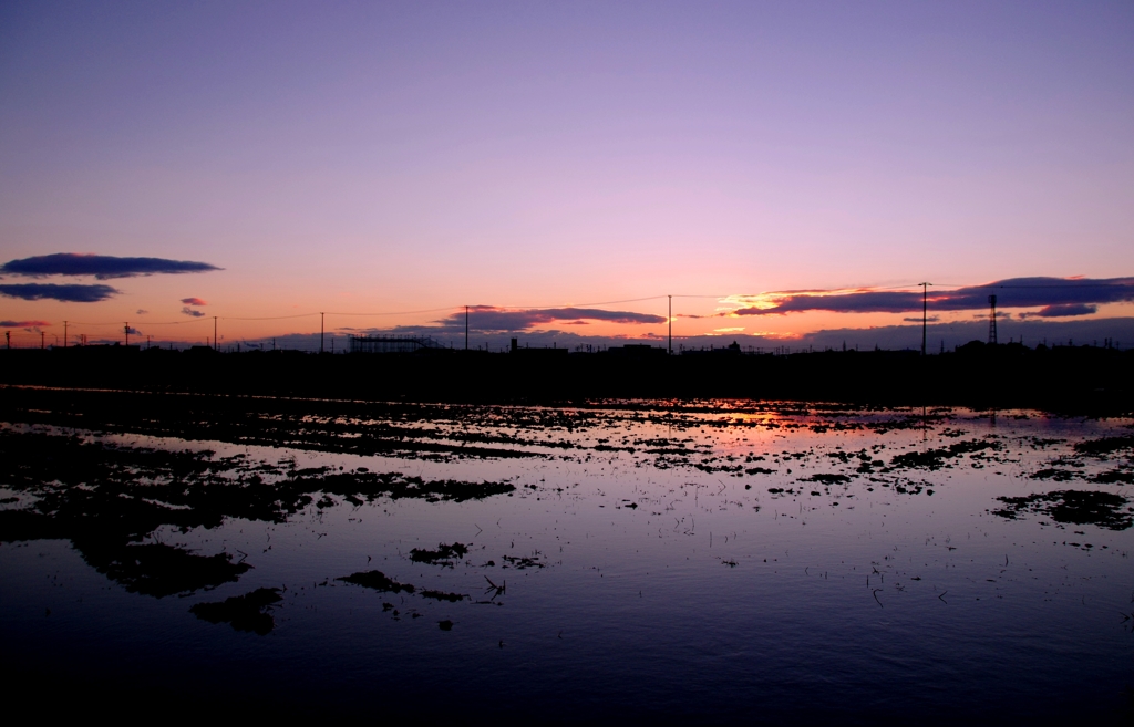 のどかな夕暮れ　＠安城