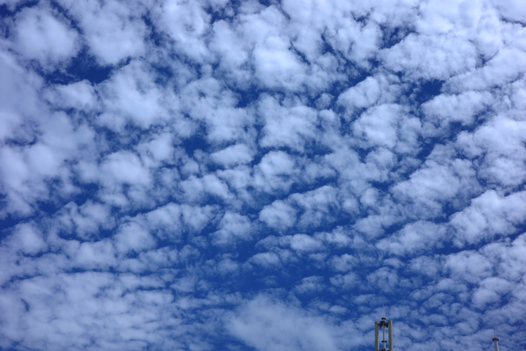 箱根大観山からのうろこ雲